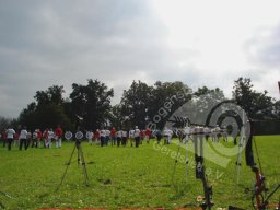 900er Raisting