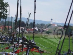900er Raisting