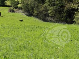 Feld- &amp; 3D-Turnier Wackersberg