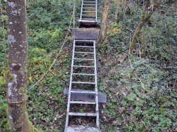 Erneuerung Treppe Scheibe 4