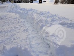 Winter 2019