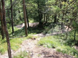 Leutaschklamm 2013