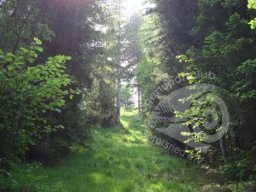Mittenwald 2010