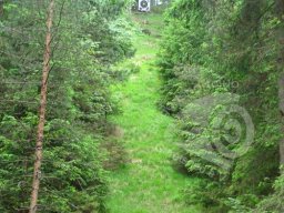 Mittenwald 2010